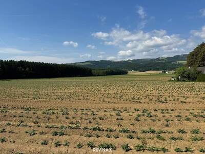 Grundstück kaufen in 9431 St. Marein