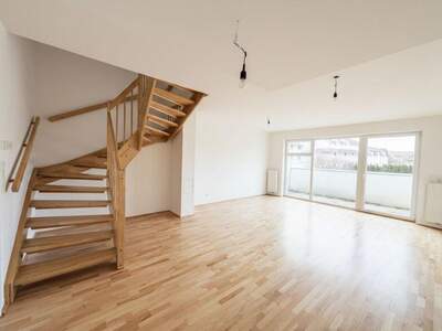 Terrassenwohnung mieten in 3386 Hafnerbach (Bild 1)