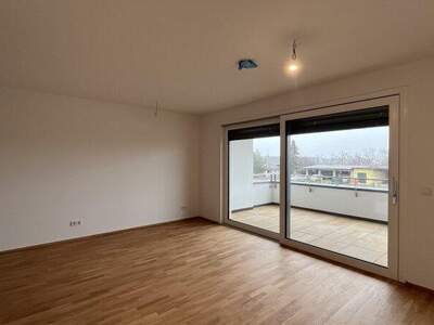 Terrassenwohnung mieten (Bild 4)