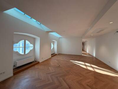 Gewerbeobjekt mieten in 1010 Wien (Bild 1)