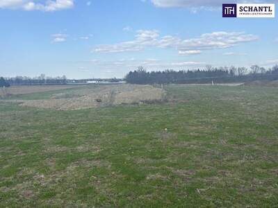 Grundstück kaufen in 8472 Vogau (Bild 1)