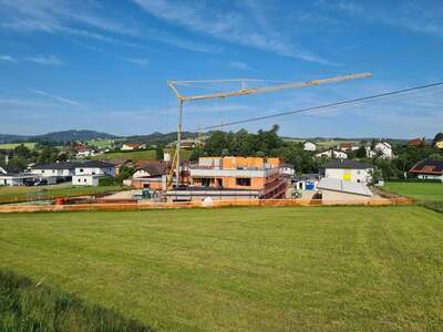 Gewerbeobjekt mieten in 4910 Ried (Bild 5)