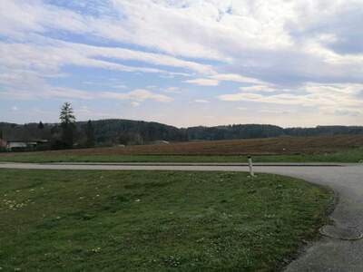 Grundstück kaufen in 8261 Sinabelkirchen (Bild 1)