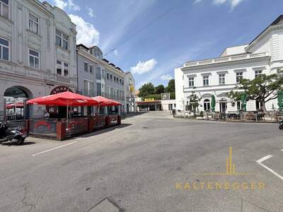 Wohnung mieten in 1190 Wien