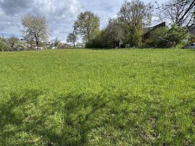 Grundstück kaufen in 4223 Bodendorf (Bild 1)