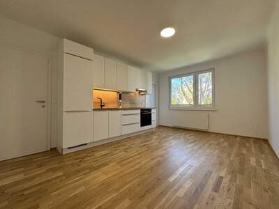 Apartment provisionsfrei mieten in 1210 Wien