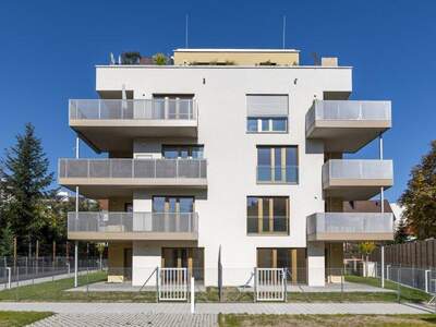 Terrassenwohnung mieten in 2700 Wr. Neustadt (Bild 3)