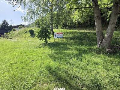 Grundstück kaufen in 8773 Kammern (Bild 2)