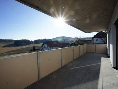 Wohnung kaufen in 4240 Waldburg