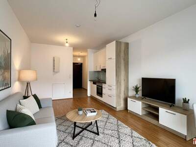 Anlageobjekt mieten in 8020 Graz