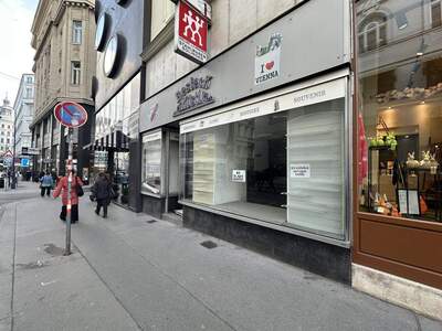 Gewerbeobjekt mieten in 1010 Wien