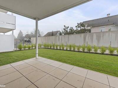 Terrassenwohnung kaufen in 2540 Bad Vöslau (Bild 3)