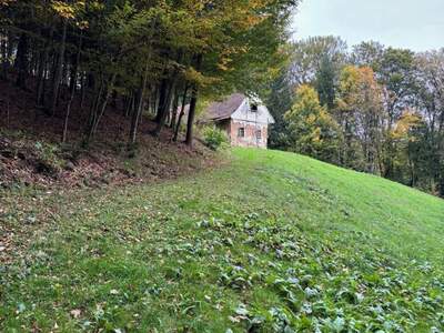 Gewerbeobjekt kaufen in 8461 Ehrenhausen (Bild 3)