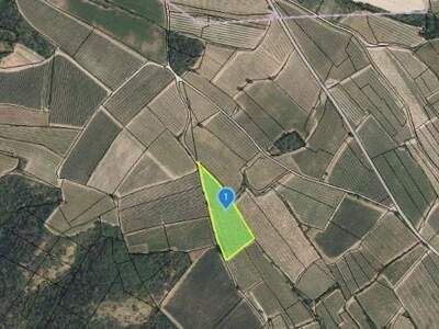 Gewerbeobjekt kaufen in 3550 Langenlois