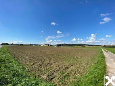 Gewerbeobjekt kaufen in 4671 Neukirchen (Bild 1)