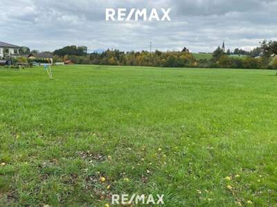 Grundstück kaufen in 4851 Gampern (Bild 1)