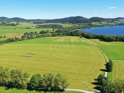 Gewerbeobjekt kaufen in 38226 Horní Planá (Bild 3)