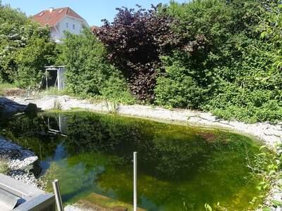 Haus kaufen in 4431 Haidershofen (Bild 5)