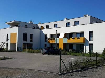Wohnung mieten in 2700 Wiener Neustadt