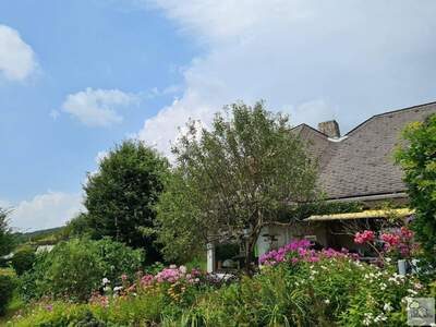 Haus kaufen in 4048 Puchenau