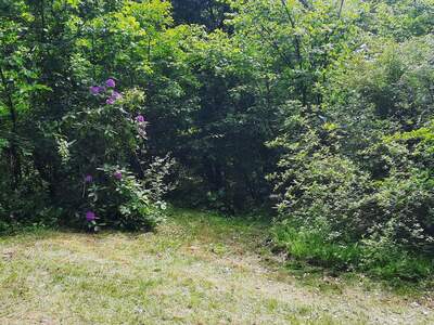 Grundstück kaufen in 3500 Krems (Bild 3)