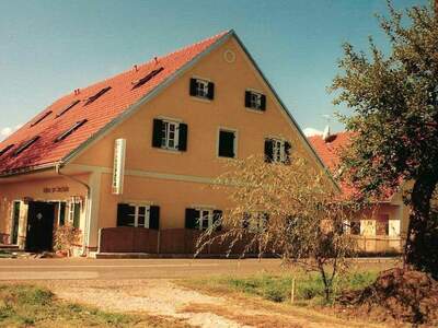 Gewerbeobjekt kaufen in 8504 Mettersdorf (Bild 3)