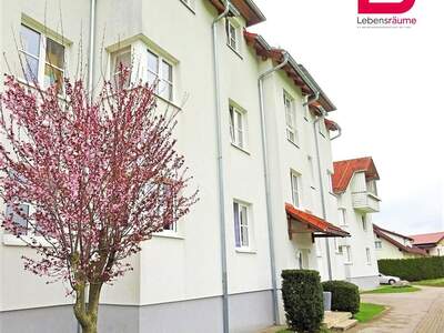 Apartment provisionsfrei mieten in 4563 Oberösterreich