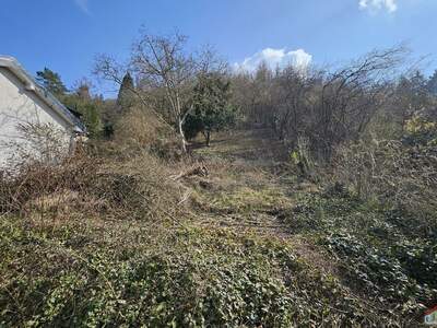 Grundstück kaufen in 3424 Wolfpassing (Bild 3)