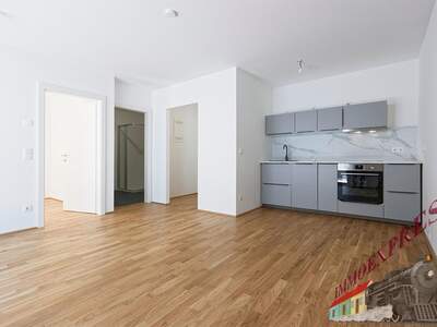 Terrassenwohnung mieten in 1210 Wien (Bild 1)