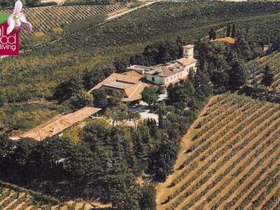 Gewerbeobjekt kaufen in 47032 Bertinoro (Bild 3)