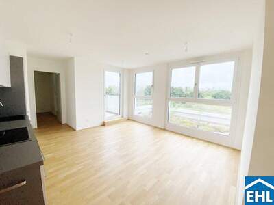 Terrassenwohnung mieten in 1110 Wien (Bild 2)