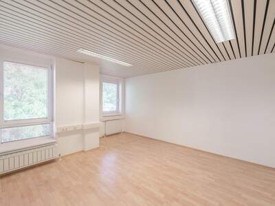 Gewerbeobjekt mieten in 1110 Wien (Bild 1)