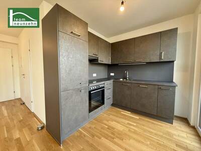 Terrassenwohnung mieten in 1100 Wien (Bild 3)