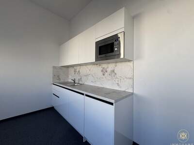 Gewerbeobjekt mieten in 1100 Wien (Bild 3)