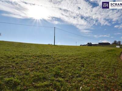 Grundstück kaufen in 8503 St. Josef (Bild 5)