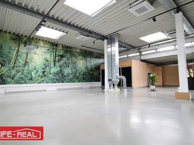 Gewerbeobjekt mieten in 4020 Linz