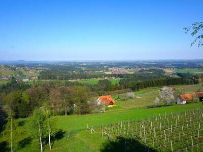 Einfamilienhaus provisionsfrei mieten in 8511 Sankt Stefan