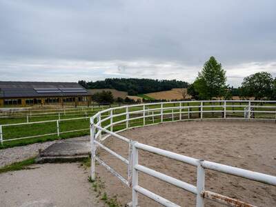 Gewerbeobjekt kaufen in 4600 Gunskirchen (Bild 4)
