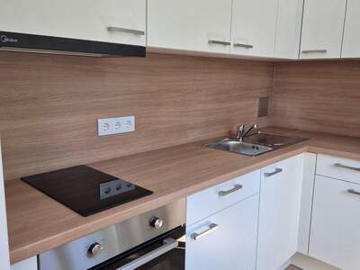 Wohnung mieten in 1130 Wien (Bild 4)