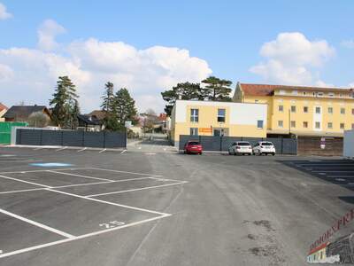 Halle / Lager / Produktion mieten in 2401 Fischamend (Bild 2)