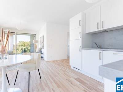 Terrassenwohnung mieten in 1150 Wien (Bild 2)