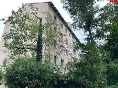 Gewerbeobjekt kaufen in 5020 Salzburg (Bild 2)
