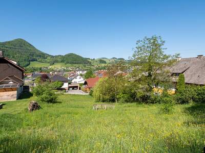 Grundstück kaufen in 4452 Ternberg (Bild 1)