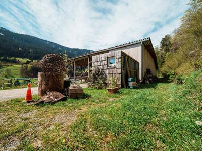 Grundstück kaufen in 6752 Dalaas (Bild 5)