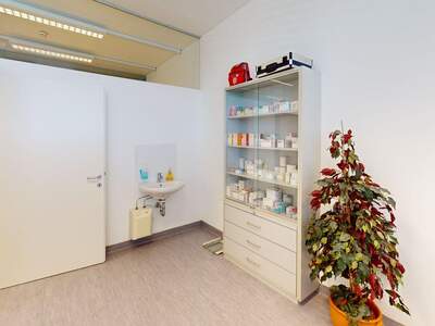 Gewerbeobjekt mieten in 8430 Leibnitz (Bild 4)