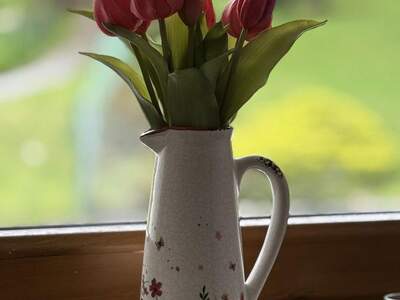 Mietwohnung in 5340 St. Gilgen (Bild 2)