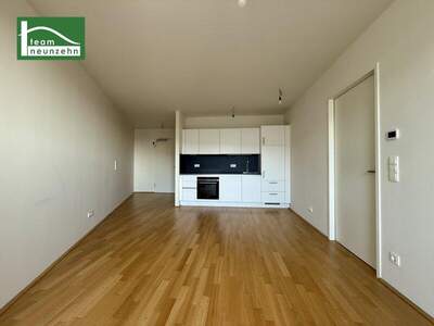 Terrassenwohnung mieten in 1100 Wien (Bild 1)