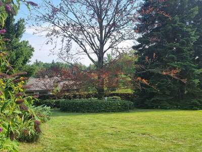 Grundstück kaufen in 4840 Vöcklabruck (Bild 3)