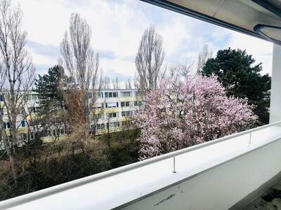 Wohnung mieten in 2344 Maria Enzersdorf