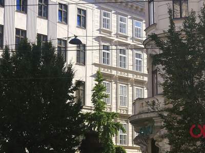 Gewerbeobjekt mieten in 1090 Wien (Bild 3)